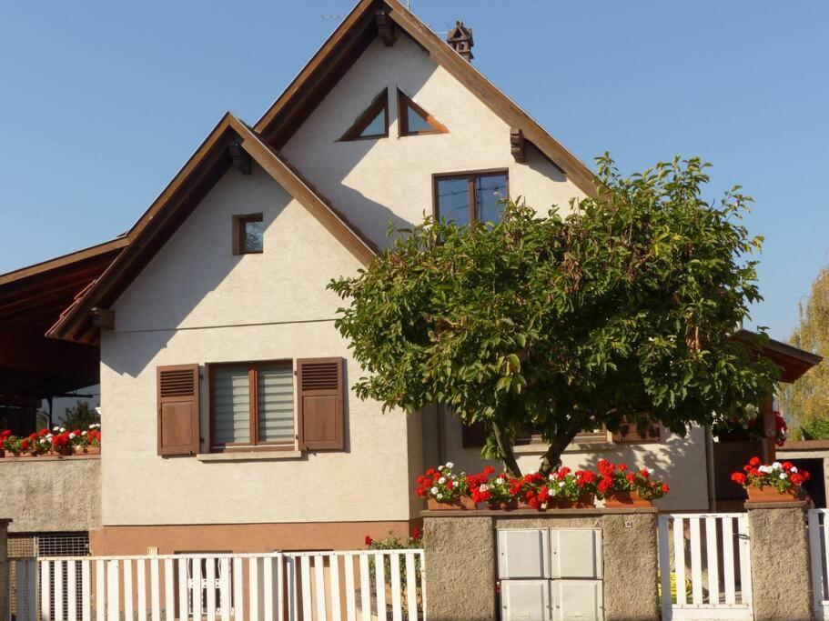 Gite Spacieux Au Coeur De L'Alsace 3*** Селеста Экстерьер фото