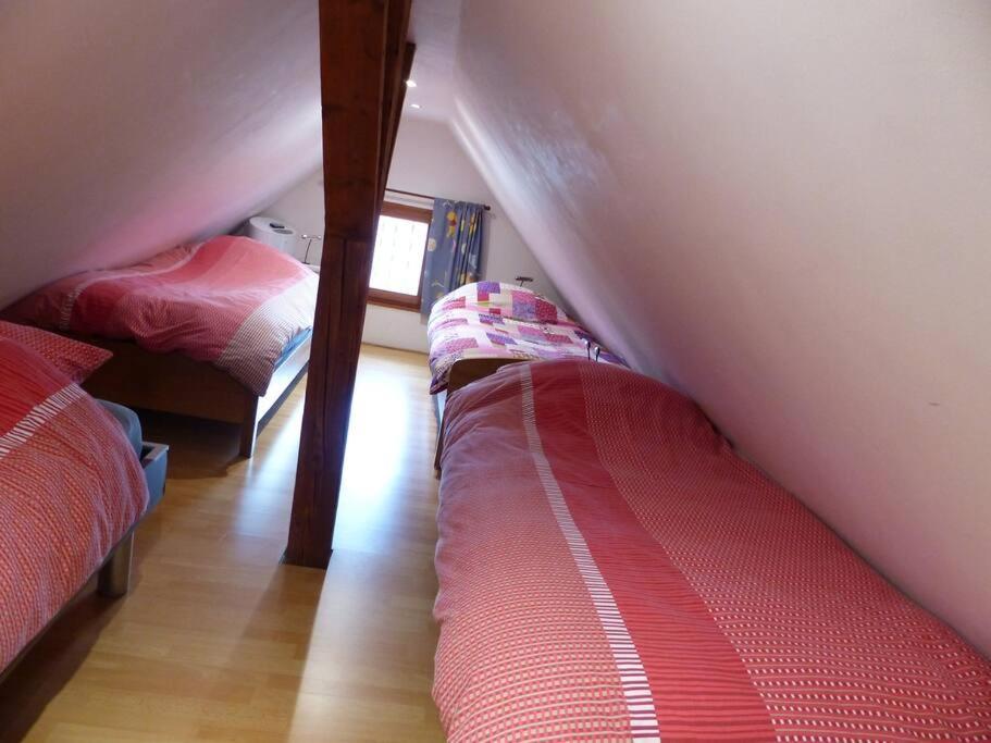 Gite Spacieux Au Coeur De L'Alsace 3*** Селеста Экстерьер фото