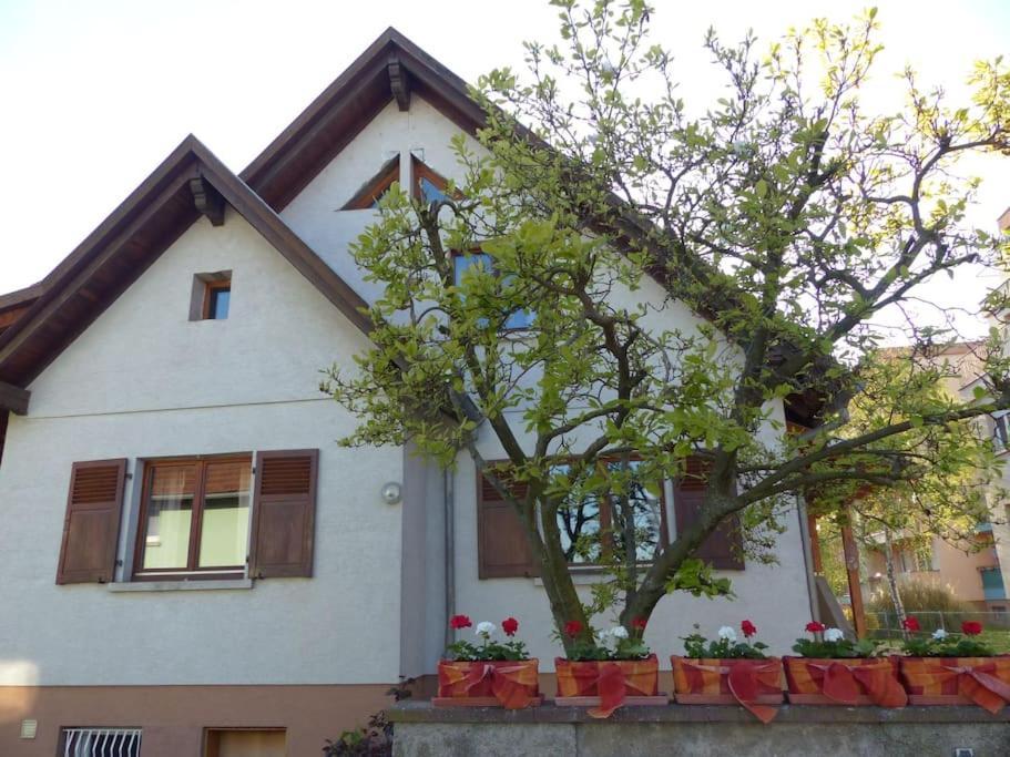 Gite Spacieux Au Coeur De L'Alsace 3*** Селеста Экстерьер фото