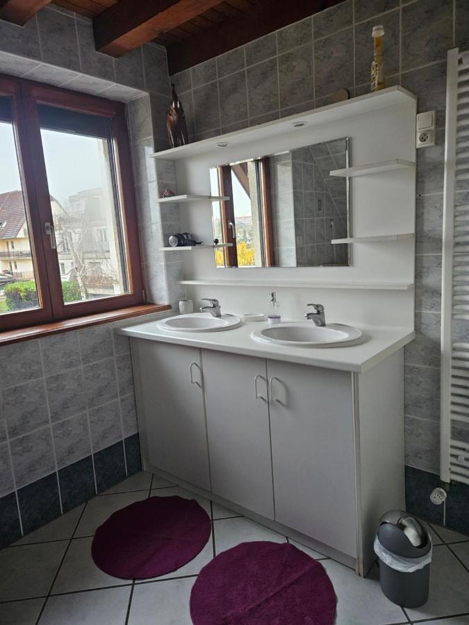 Gite Spacieux Au Coeur De L'Alsace 3*** Селеста Экстерьер фото