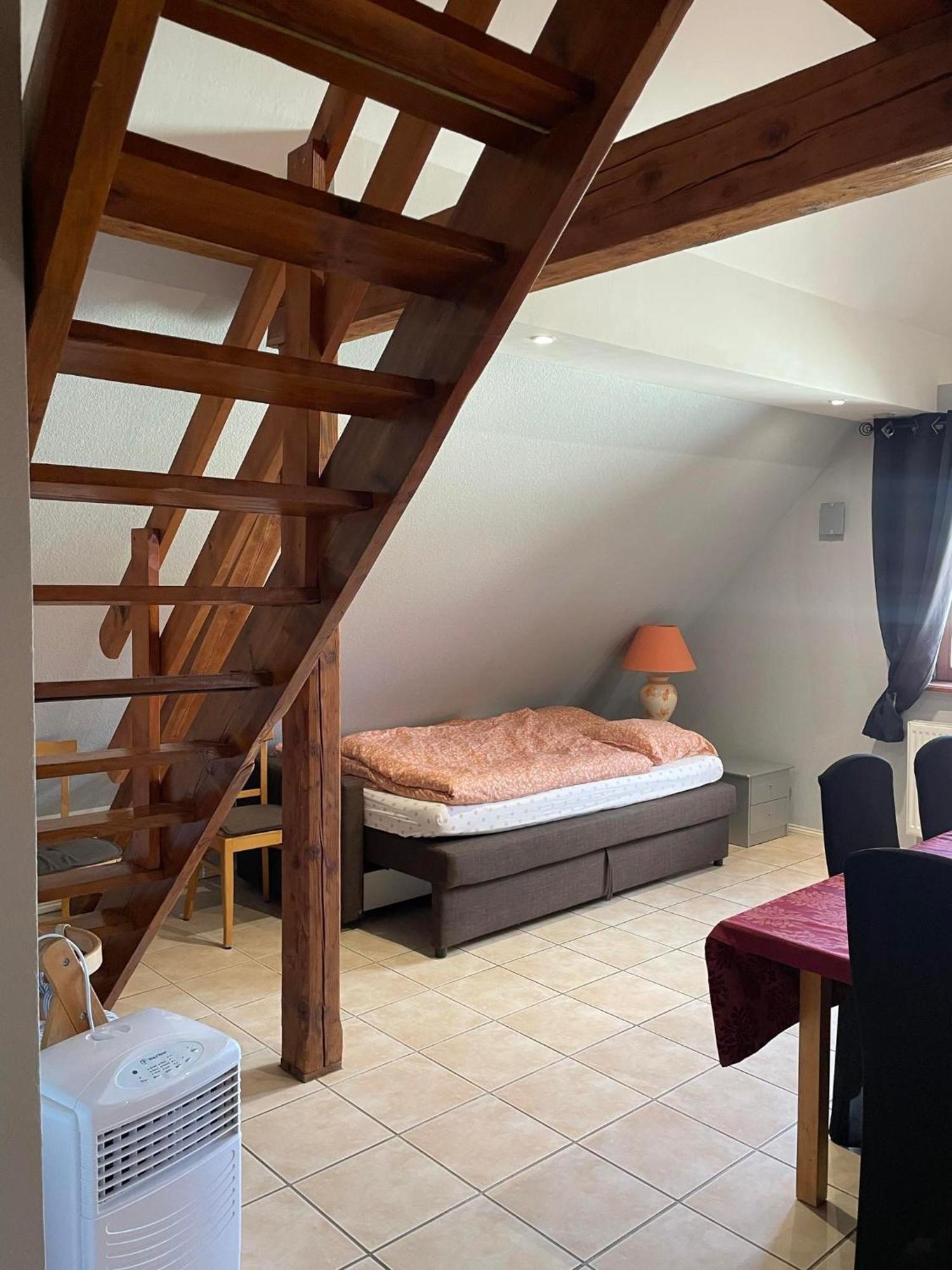 Gite Spacieux Au Coeur De L'Alsace 3*** Селеста Экстерьер фото